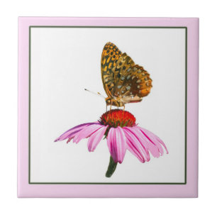 Azulejo Mariposa En La Conflor Púrpura