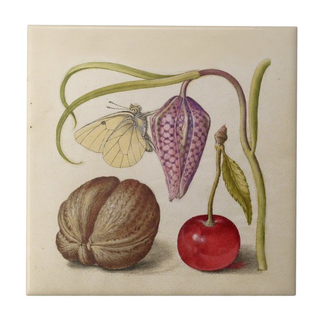 Azulejo Mariposa Flor de nuez de nuez de flores de cerezo  (Frente)