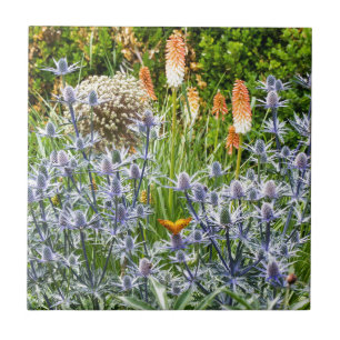 Azulejo Mariposa Fritillana En Un Jardín De Verano