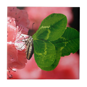 Azulejo Mariposa Lucky