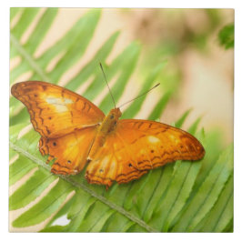 Azulejo Mariposa milanesa