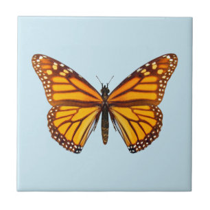 Azulejo Mariposa Monarca