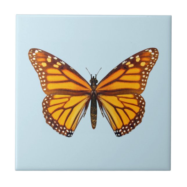 Azulejo Mariposa Monarca (Frente)