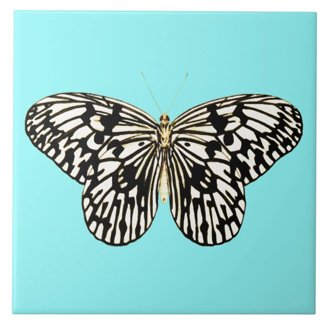 Azulejo Mariposa negra y blanca, fondo turquesa (Frente)