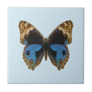Azulejo Mariposa Pansy Azul