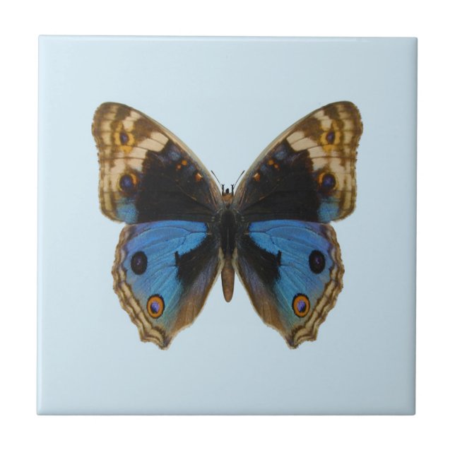 Azulejo Mariposa Pansy Azul (Frente)