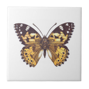Azulejo Mariposa pintada