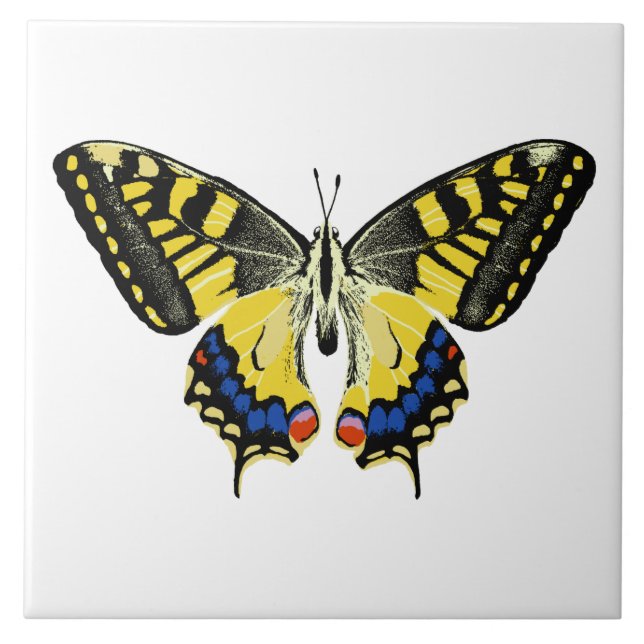 Azulejo Mariposa tigre (Frente)