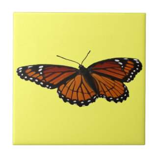 Azulejo Mariposa Viceroy Hermosa Fotografía de la Naturale
