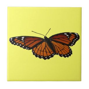 Azulejo Mariposa Virrey Fotografía De Naturaleza Hermosa