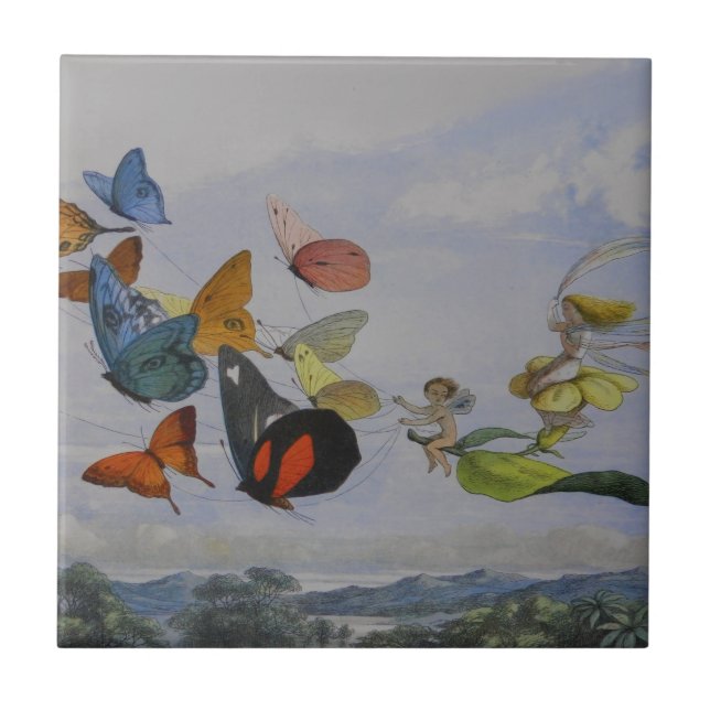 Azulejo Mariposa y hadas mariposas reina (Frente)