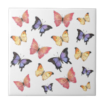 Mariposas Moradas Rosadas