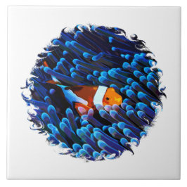 Azulejo Marisco En Un Anémona