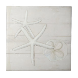 Azulejo Mariscos de mar conchas de madera blanca lavada