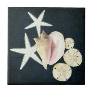 Azulejo Mariscos Starfish Sanddolar concha madera marina