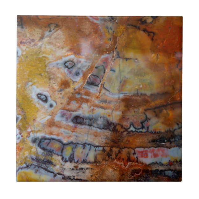 Azulejo Marrón de madera Petrificado (Frente)