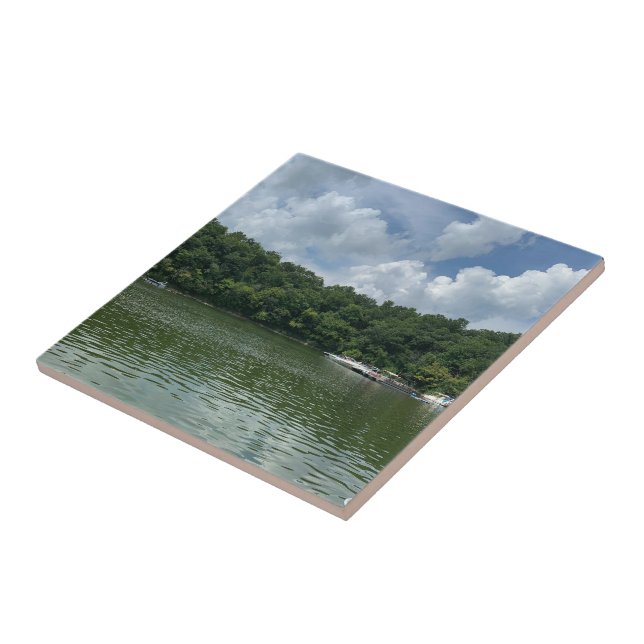 Azulejo Más bien estar en la montaña rusa del lago (Lado)