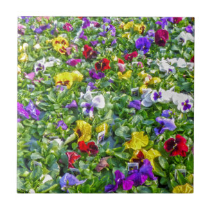 Azulejo Más Pansies