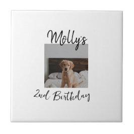 Azulejo Mascota gato perro foto de cumpleaños animal simpl