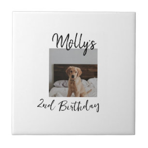 Azulejo Mascota gato perro foto de cumpleaños animal simpl