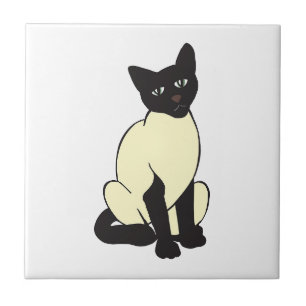 Azulejo Mascota gato siamés Destino Animales