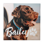 Azulejo Mascota Simple y Moderno Nombre y foto de la tipog<br><div class="desc">Este diseño sencillo y moderno se compone de una tipografía de escritura moderna y sencilla. Añadir foto de mascota personalizado.</div>