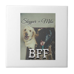 Azulejo Mascotas amigos bestias agregar nombre mascota fot