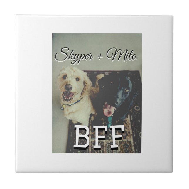 Azulejo Mascotas amigos bestias agregar nombre mascota fot (Frente)