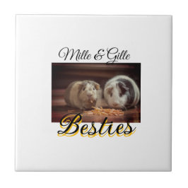 Azulejo Mascotas amigos bestias agregar nombre mascota fot