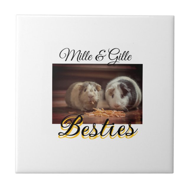 Azulejo Mascotas amigos bestias agregar nombre mascota fot (Frente)