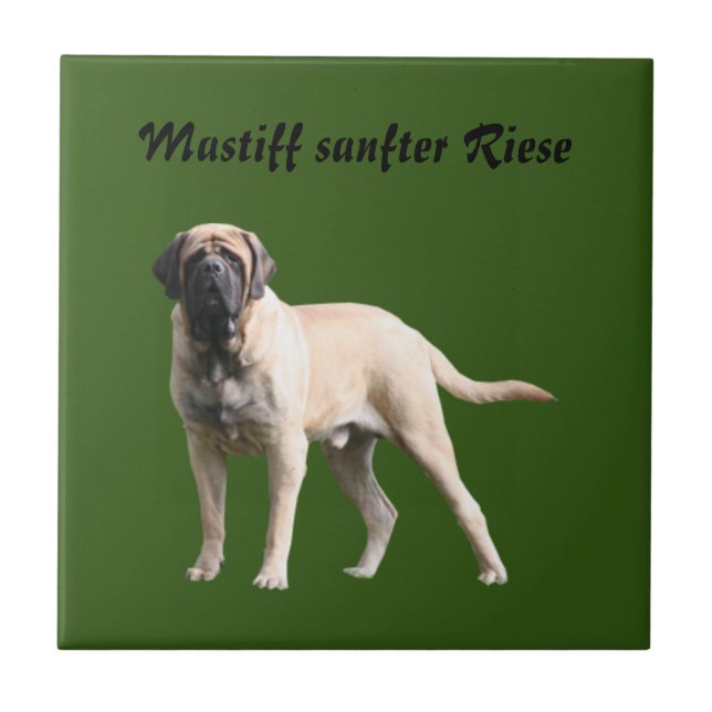 Azulejo Mastiff  englische Dogge Urlaub  (Frente)