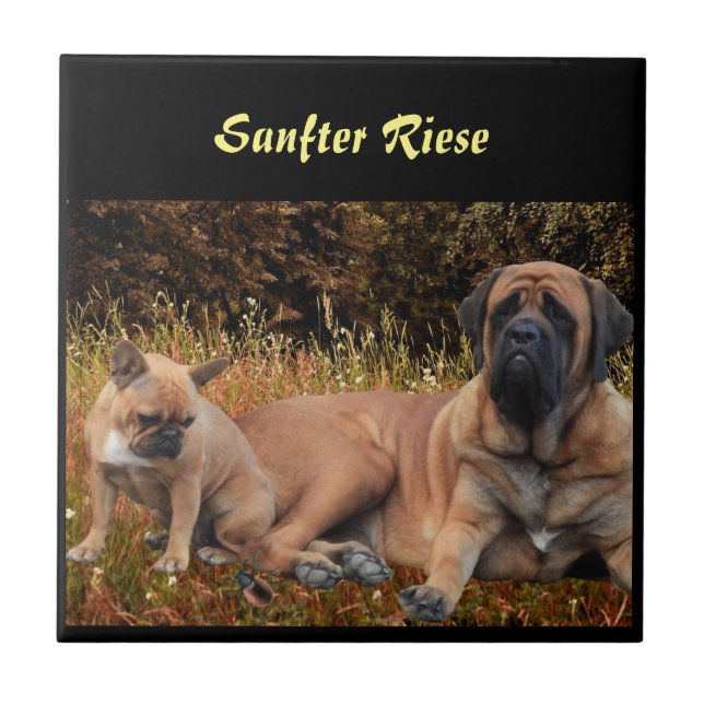 Azulejo Mastiff  Urlaub English Mastiff (Frente)