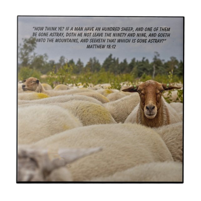 Azulejo Mateo 18:12    (Frente)