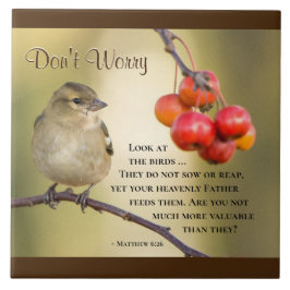 Azulejo Mateo 6:26 Verso de la Biblia, no te preocupes