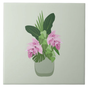 Azulejo Medinilla tropical Flor rosada en grano verde