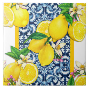 Azulejo Mediterranean Traditional Pattern