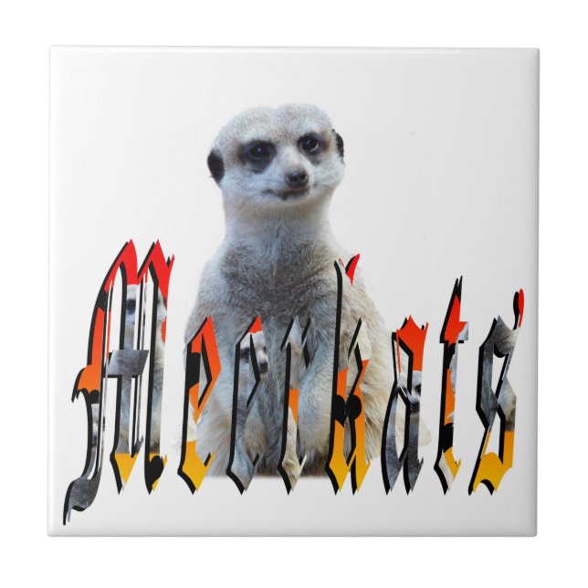 Azulejo "Meerkats: Orgullosos detrás del nombre" (Frente)