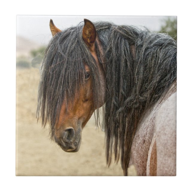 Azulejo Melena del caballo (Frente)