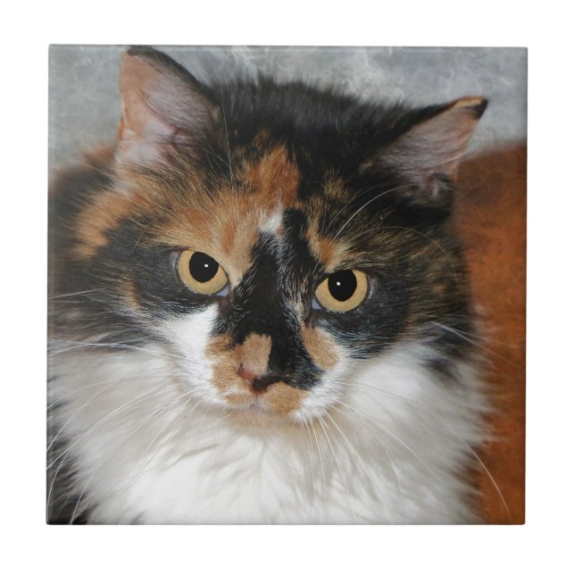 Azulejo MeMeow (Frente)