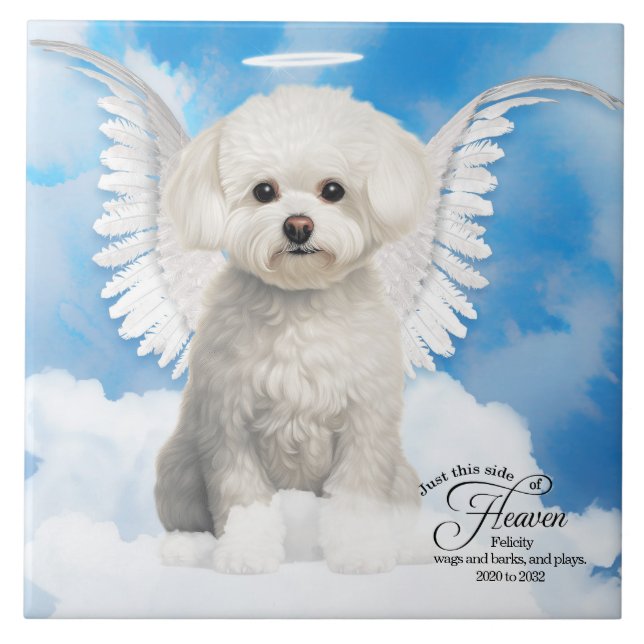 Azulejo Memorial Mascota de Bichon Frise Dog Angel Persona (Frente)