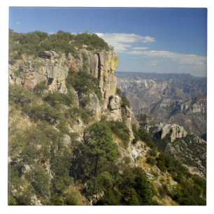Azulejo México, Estado de Chihuahua, Copper Canyon. ESTO