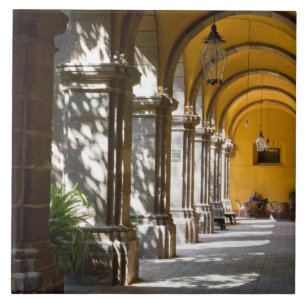 Azulejo México, estado de Guanajuato, San Miguel de Allen