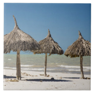 Azulejo México, Península de Yucatán, Progreso. Paja