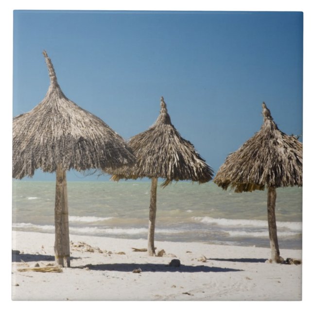 Azulejo México, Península de Yucatán, Progreso. Paja (Frente)