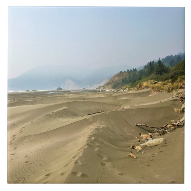 Azulejo Meyers Beach North, Gold Beach, Oregon (Frente)