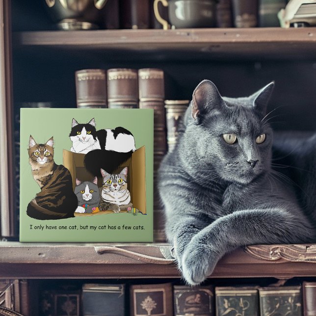 Azulejo Mi gato tiene gatos (Subido por el creador)