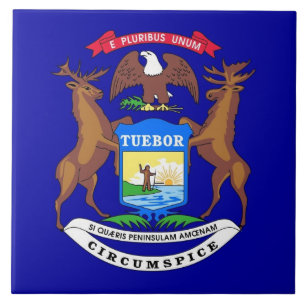 Azulejo Michigan State Flag Tile
