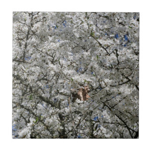 Azulejo Milla de cerámica Mirabelle Blossom