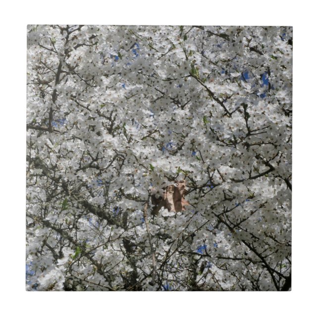 Azulejo Milla de cerámica Mirabelle Blossom (Frente)