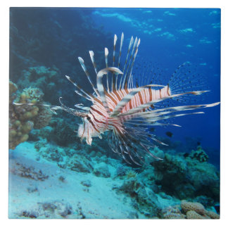 Azulejo Millas de Lionfish o Pterois, peces de arrecifes o